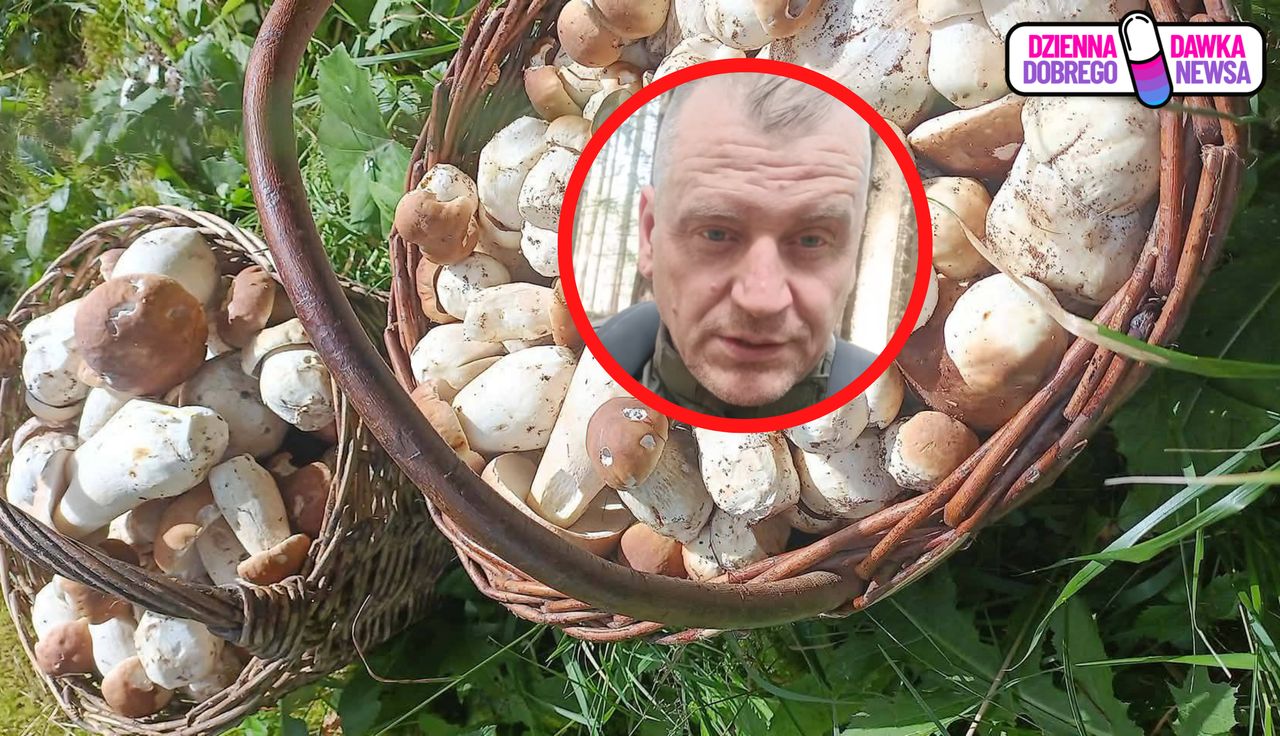 231 sztuk. Aż zaczął nagrywać w lesie. "Po prostu cudo"