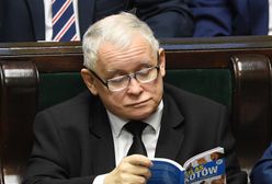 Kaczyński opowiedział o kotach. "Tłuką się po pyskach regularnie"