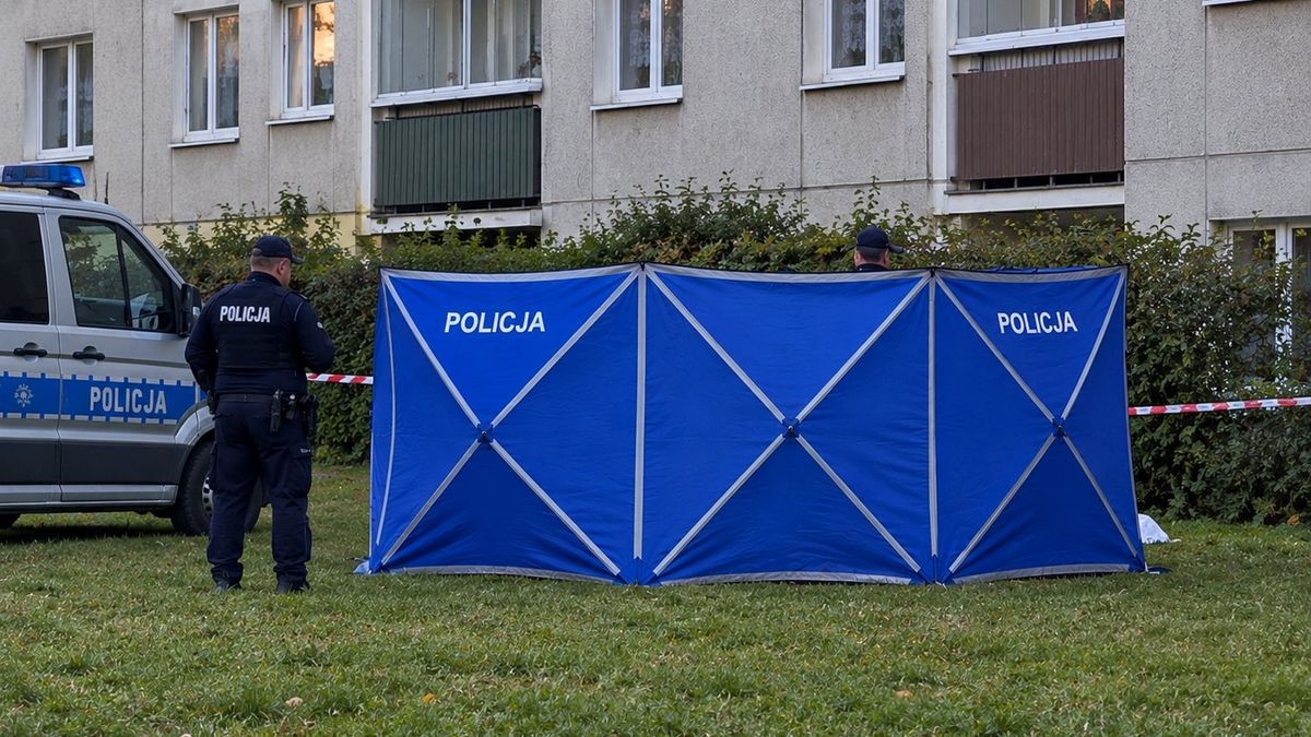 Parawan policyjny. Zdjęcie ilustracyjne - wygenerowane przez AI