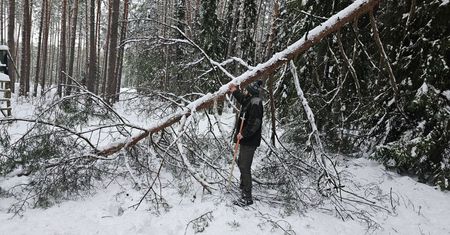 Leśnicy są bezwzględni. Zakaz wstępu do lasu. "Prosimy o zrozumienie"