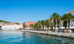 Wakacyjny raj Polaków ma problem. Chorwacka plaża śmierdzi odchodami