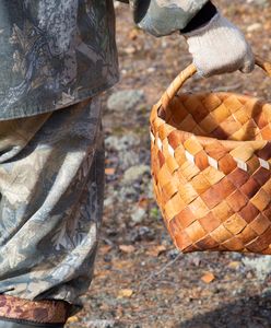 Grzyby w marcu 2025. Jakie okazy zbierać i gdzie ich szukać?