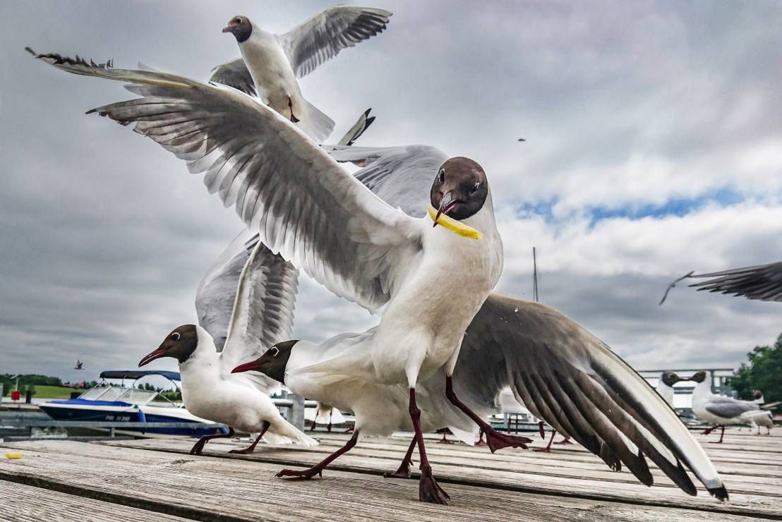 Znamy zwycięzców 12. Wielkiego Konkursu Fotograficznego magazynu National Geographic Polska 6