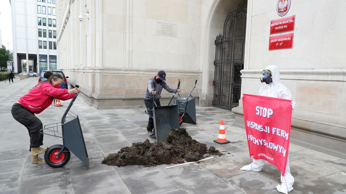 Kurze łajno przed ministerstwem rolnictwa. Protest ekologów
