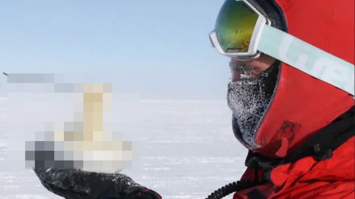 Zdjęcia naukowca zachwycają