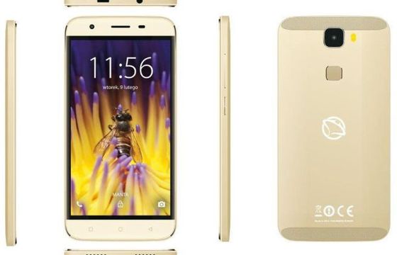 Quad Titan MSP95009 Bee - nowy smartfon firmy Manta za 349 zł