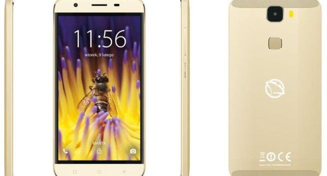 Quad Titan MSP95009 Bee - nowy smartfon firmy Manta za 349 zł