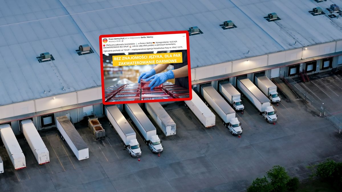 Polacy mocno zainteresowani ofertą z Niemiec (zdj. poglądowe)