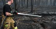 Ponad 200 strażaków w akcji. Dogaszają pogorzelisko w Puszczy Solskiej