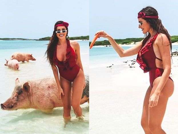 Dziewczyna Grzegorza Krychowiaka pływa ze świniami na Bahamach (FOTO)