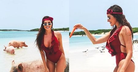 Dziewczyna Grzegorza Krychowiaka pływa ze świniami na Bahamach (FOTO)