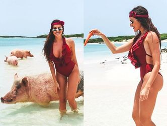 Dziewczyna Grzegorza Krychowiaka pływa ze świniami na Bahamach (FOTO)