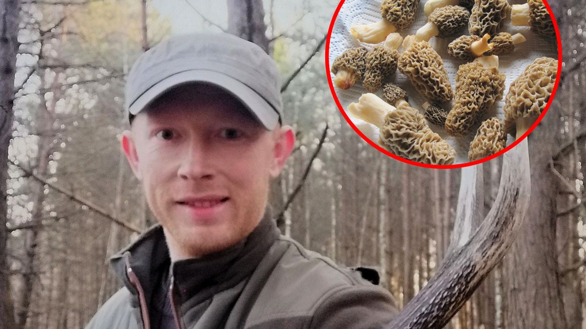 Grzyboznawca przestrzega przed bliźniakiem smardzów