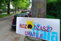 Warszawa. „RozJEŻdżasz? Uratuj”. Tabliczki na Saskiej Kępie w trosce o kolczaste ssaki