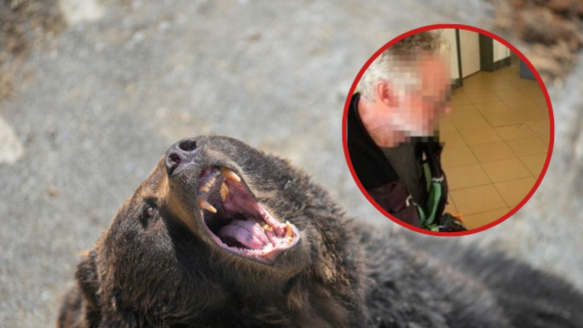 Polski turysta zaatakowany przez niedźwiedzia po słowackiej stronie Tatr.