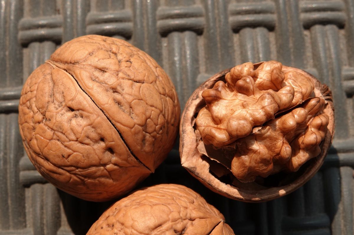 Ile orzechów możesz zjeść w ciągu dnia? Mało kto się nad tym zastanawia, a to bardzo ważne