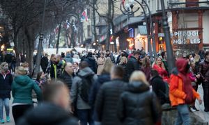 Szaleństwo wśród Polaków. "Rezerwacje wpływają każdego dnia"