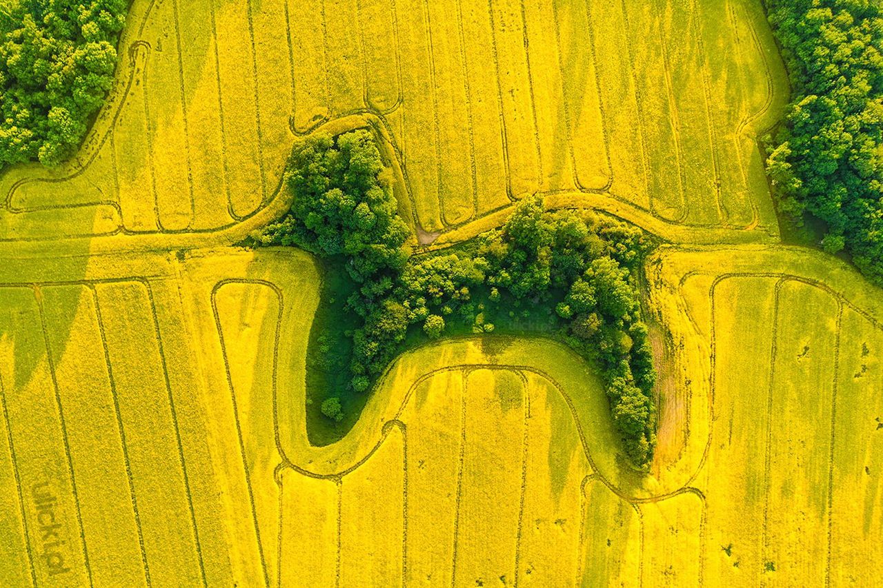 Niezwykłe zdjęcie z drona. Polski fotograf zaskoczył