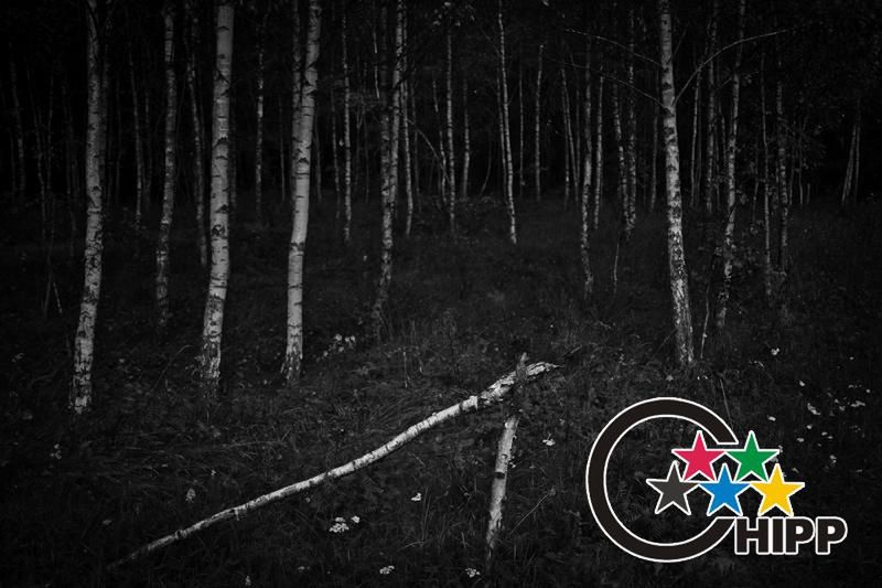 NPPA: Best of Photojournalism 2012 - Gudzowaty, Kamiński i Nabrdalik znów wyróżnieni! 4