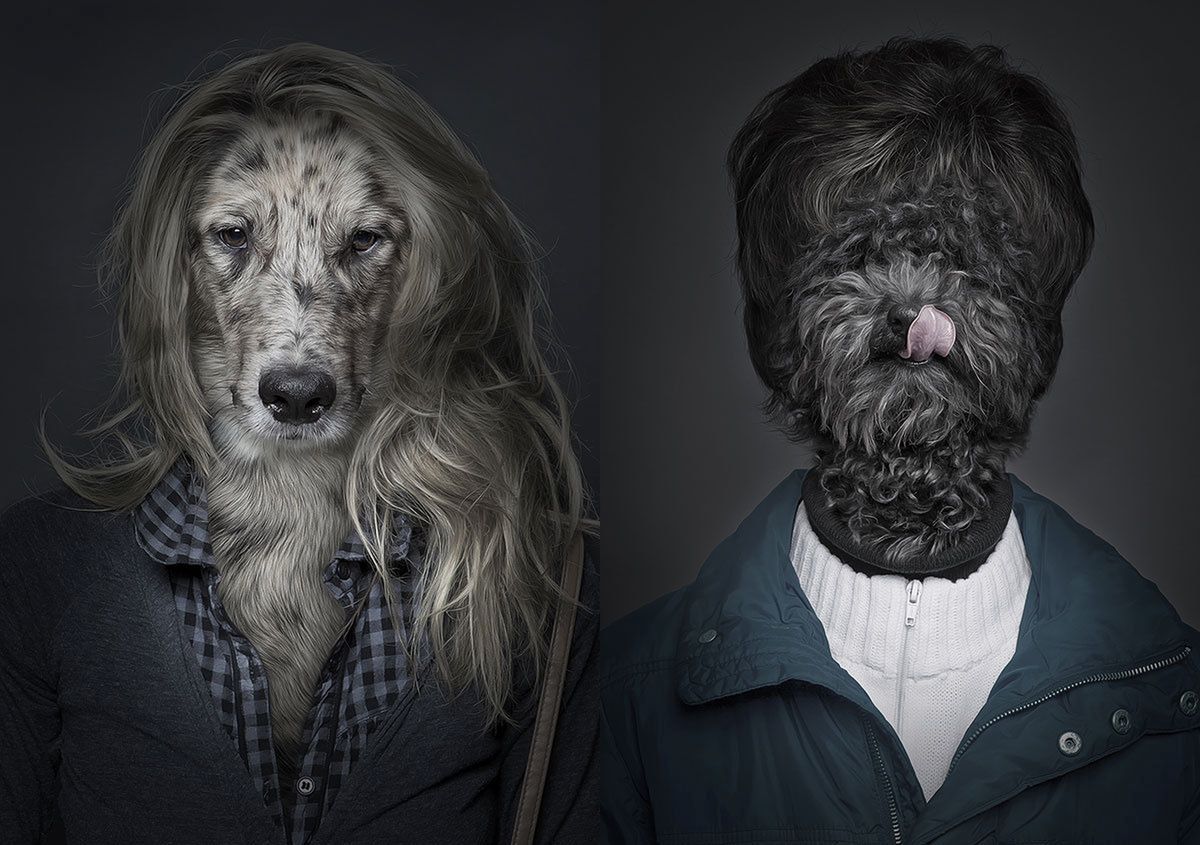 Na tych portretach psy są jak ich właściciele [inspiracje]