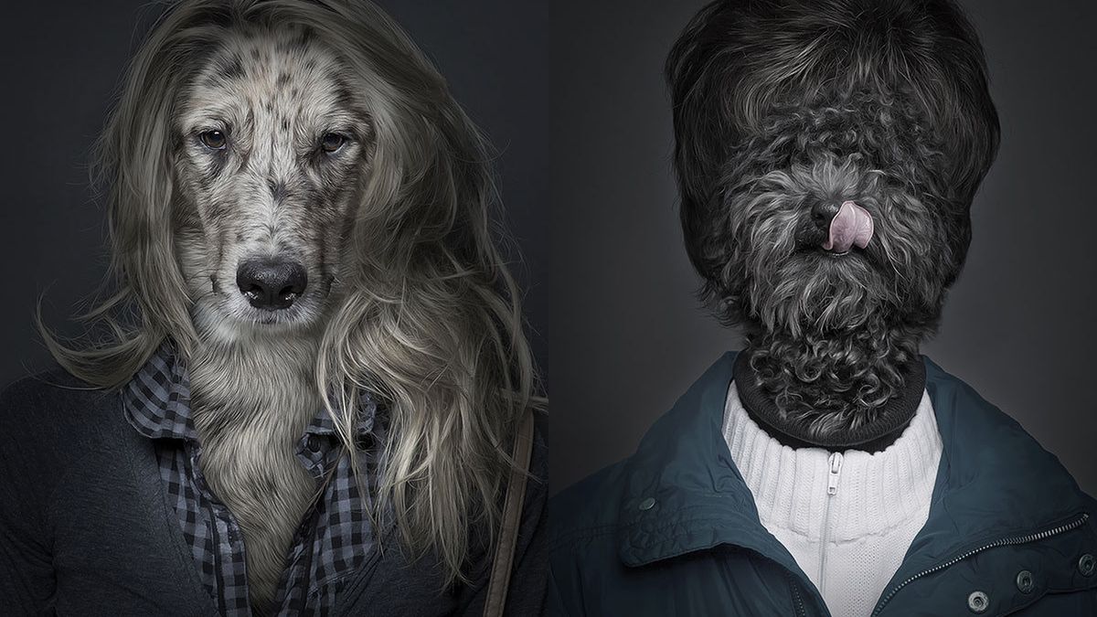 Na tych portretach psy są jak ich właściciele [inspiracje] 1