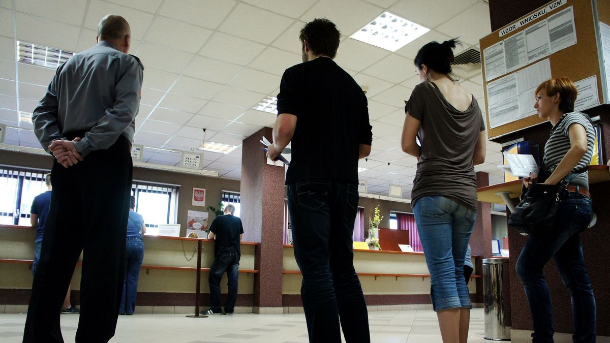 Skarbówka ujawnia: to oni najczęściej nam donoszą