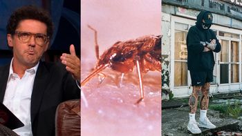 Wojewódzki czule o Teatrze 6.piętro: "Jak w hotelu pojawiają się pluskwy, to nie jest dobra reklama ANI DLA HOTELU, ANI DLA PLUSKIEW"