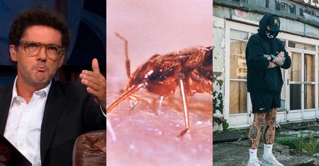 Wojewódzki czule o Teatrze 6.piętro: "Jak w hotelu pojawiają się pluskwy, to nie jest dobra reklama ANI DLA HOTELU, ANI DLA PLUSKIEW"