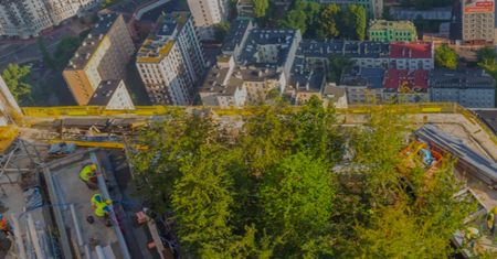 Warszawa. Korony najbliżej nieba. Drzewa wjechały na taras Varso Tower