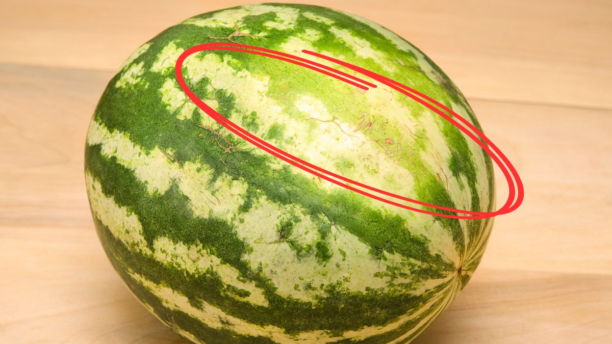 Po czym rozpoznać słodkiego arbuza?