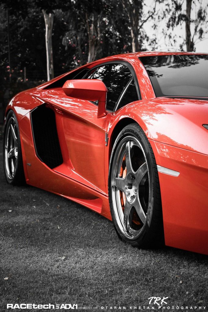 Lamborghini Aventador, felgi ADV.1 i słoń - niecodzienna sesja zdjęciowa [galeria] 27