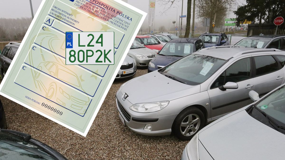 Zielone tablice dla dilerów różnią się od tych spotykanych na samochodach elektrycznych.