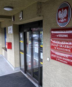 Kontrole sprzedających na Allegro. Fiskus ujawnił, co wie o Polakach