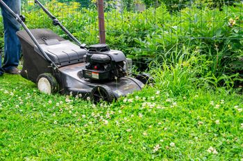 Nie koś trawnika w ten sposób. To dlatego pojawiają się żółte plamy i przerzedzenia