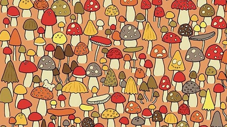 Masz 15 sekund. Znajdź na obrazku malutką myszkę