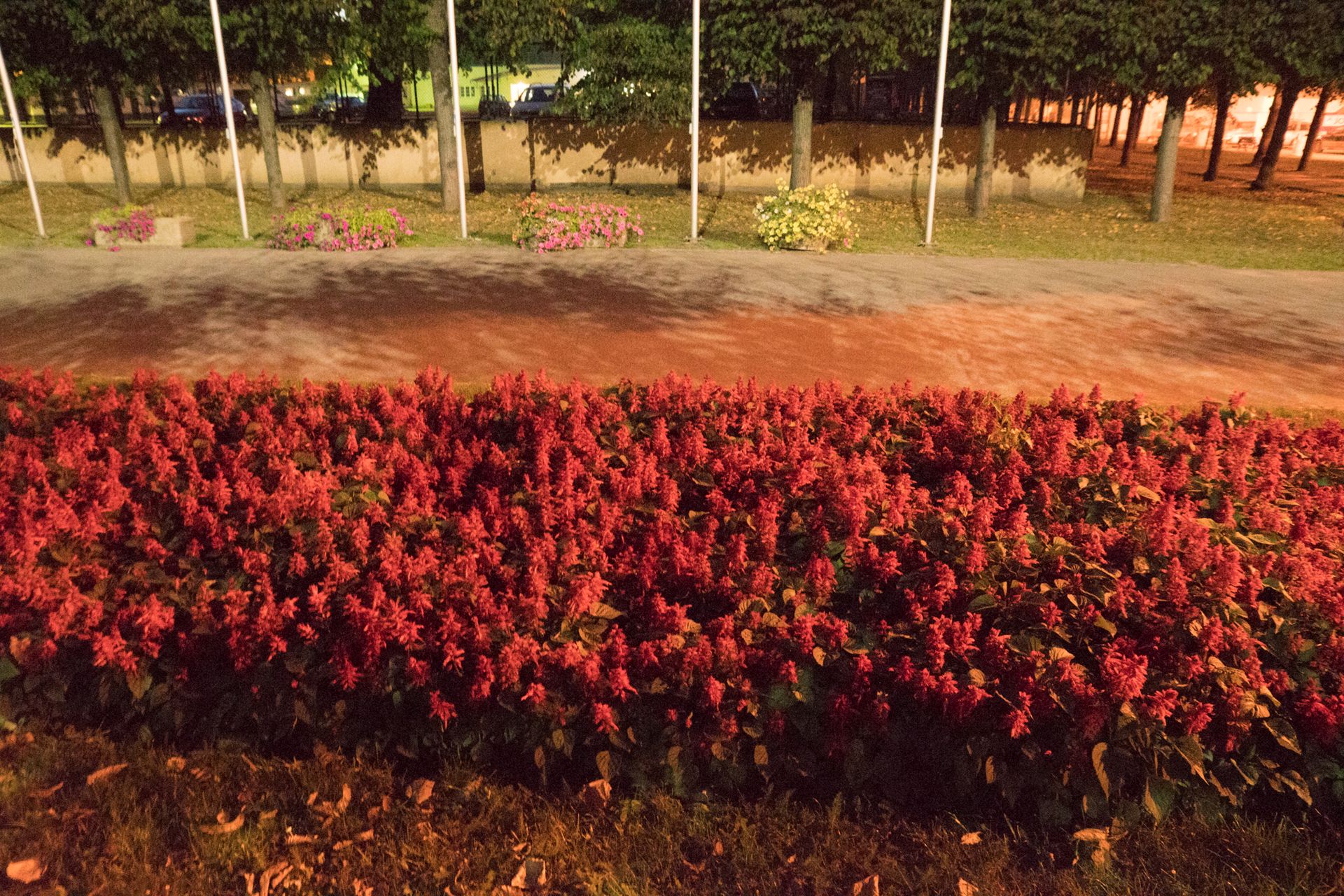 Sony A68 - test aparatu pełnego kontrastów 75