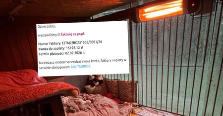 Schronisko musi zapłacić ponad 15 tys. zł za prąd. Proszą o wsparcie