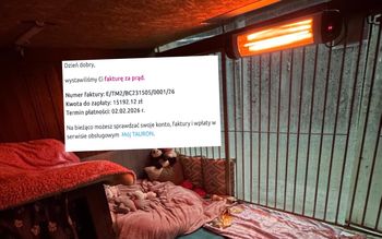 Schronisko musi zapłacić ponad 15 tys. zł za prąd. Proszą o wsparcie