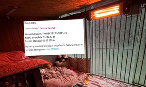 Schronisko musi zapłacić ponad 15 tys. zł za prąd. Proszą o wsparcie