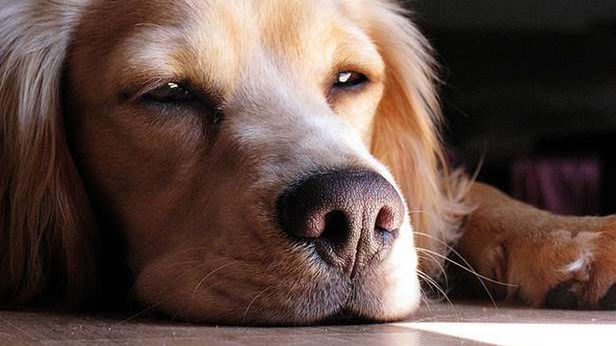 Typy startupów, których mamy dość. Kiedy powstanie coś naprawdę nowego? 1