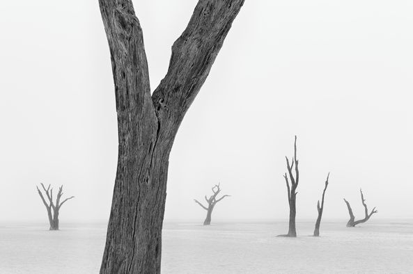 Piotr Trybalski nagrodzony w konkursie Travel Photographer of the Year 2014 15