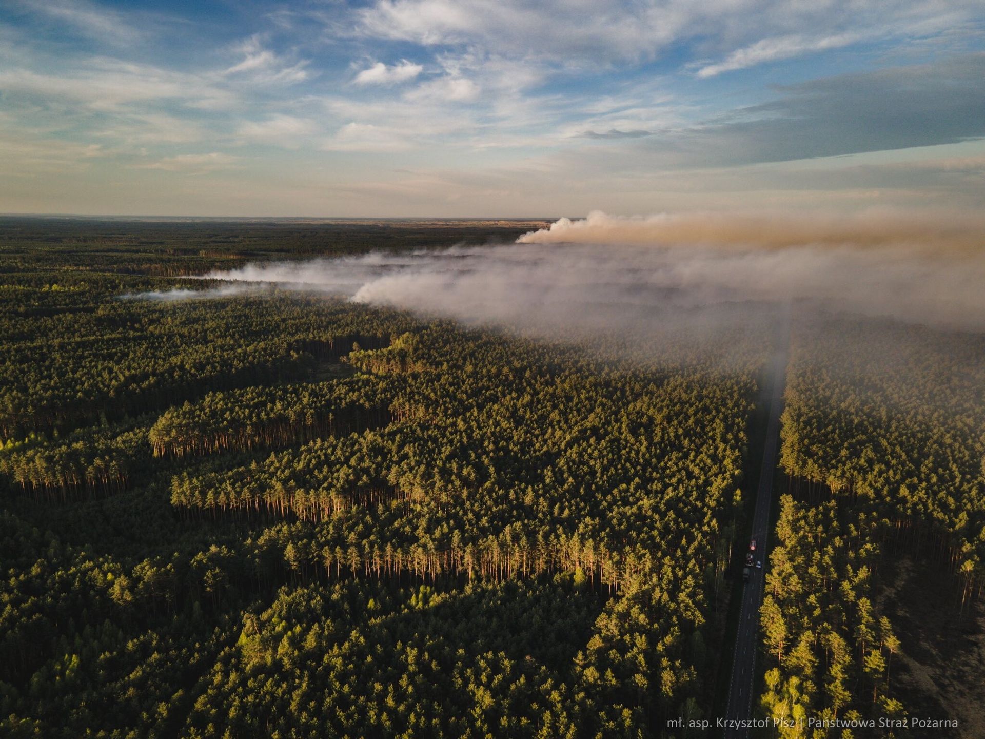 Pożar lasu na Lubelszczyźnie: 100 hektarów w płomieniach, front ognia 800 m