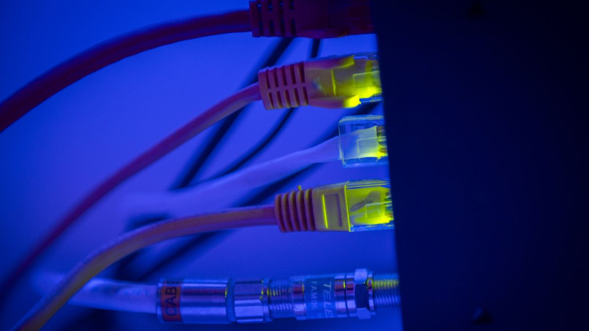 Ethernet calbe wires lighting up connected to an internet router modem are seen against a blue background in Warsaw, Poland in this illustration photo taken on 17 April, 2024. (Photo by Jaap Arriens/NurPhoto via Getty Images)