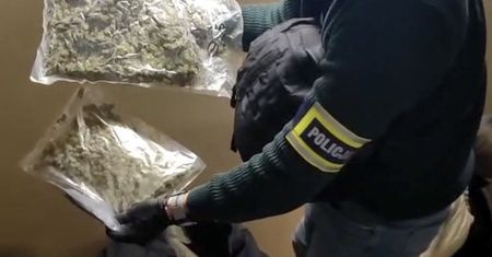 Magazyn marihuany w centrum Warszawy. Policja przejęła 14 kilogramów narkotyków