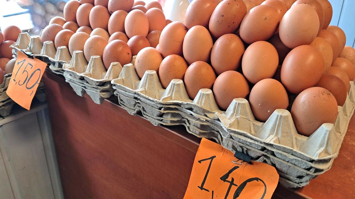 Polskie jaja podbijają Europę