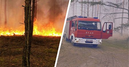 Pożar lasu w Wielkopolsce. Samolot i setka strażaków w akcji