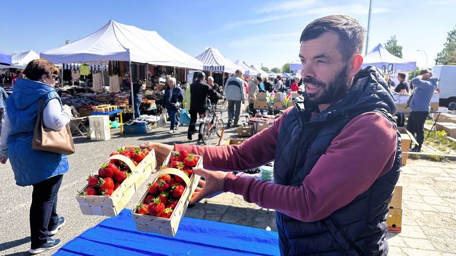 Na tarnobrzeskim targowisku pojawiły się polskie truskawki