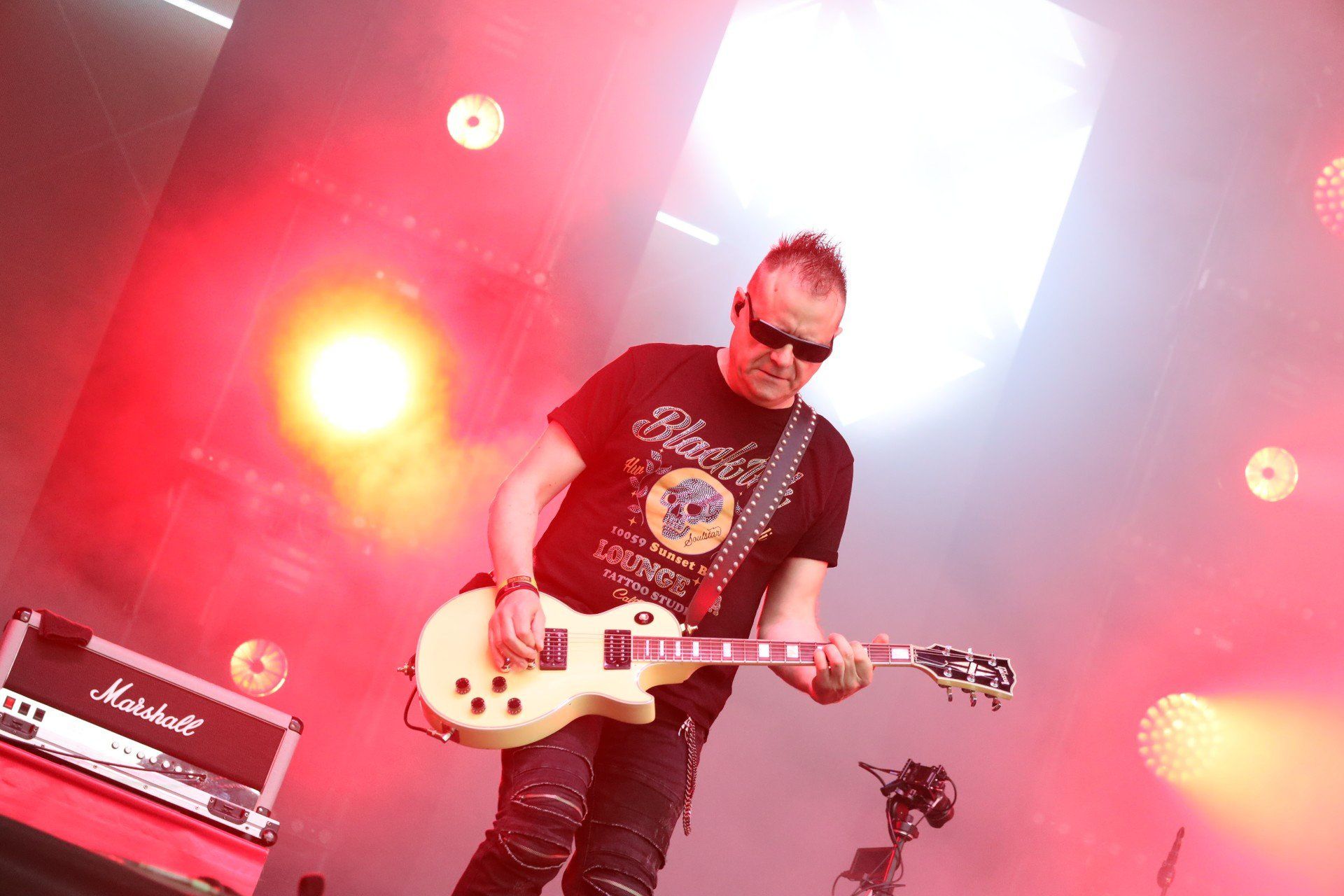 Koncert odbył się z okazji 40-lecia istnienia zespołu Kobranocka