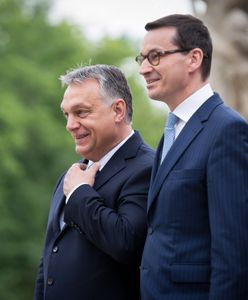 PiS ma problem z Orbanem? Poseł Lewicy wprost