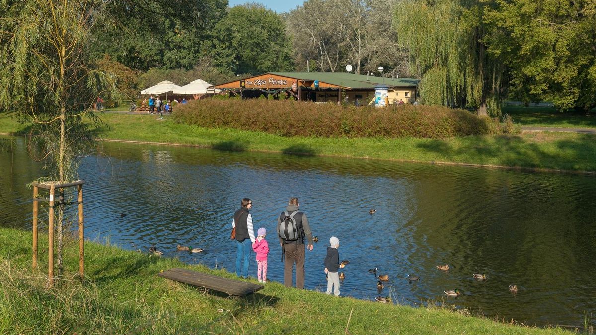 Każdemu pracownikowi przysługuje co najmniej 20 dni urlopu rocznie. To prawo i obowiązek jednocześnie